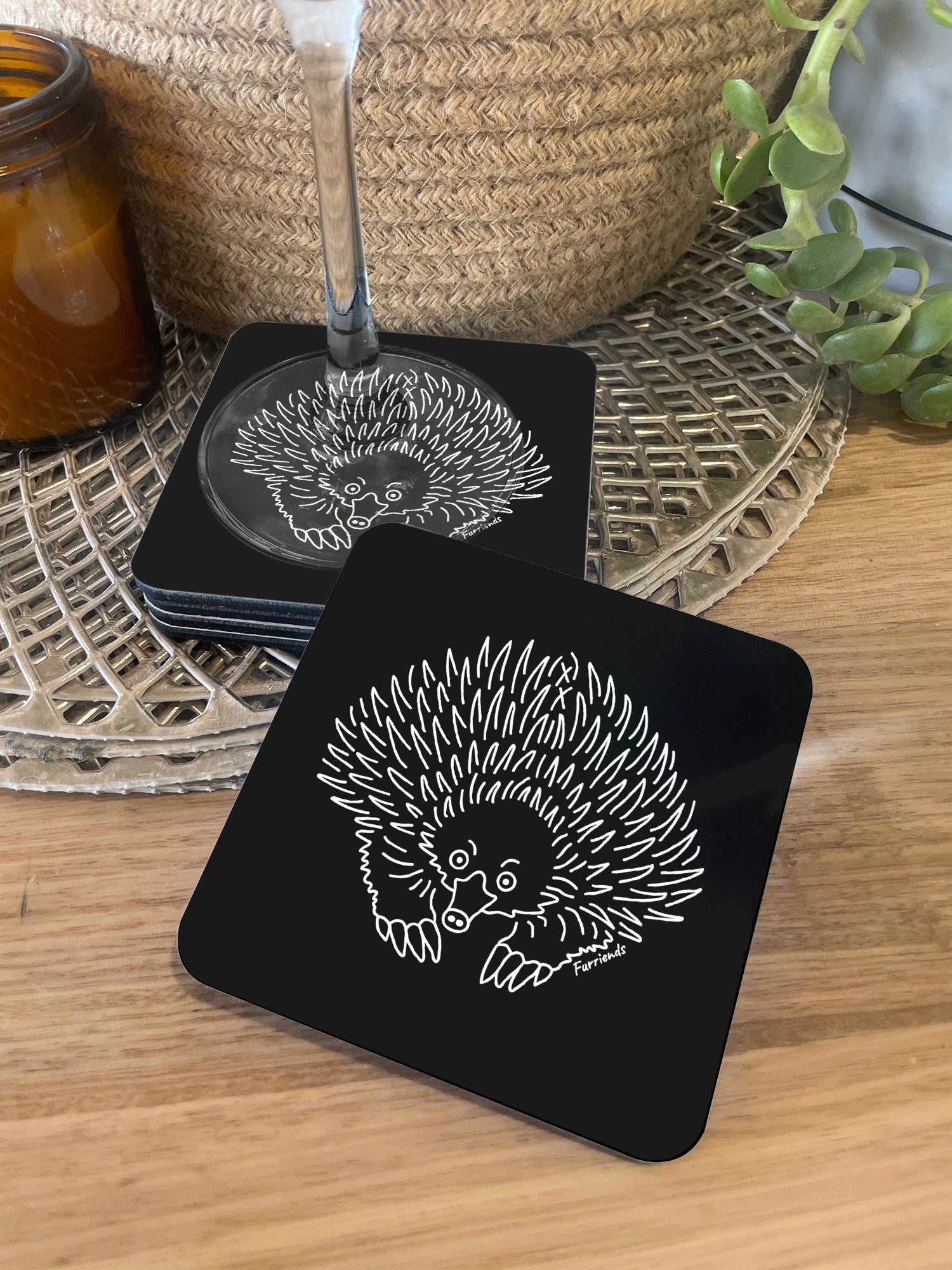 Echidna Coaster