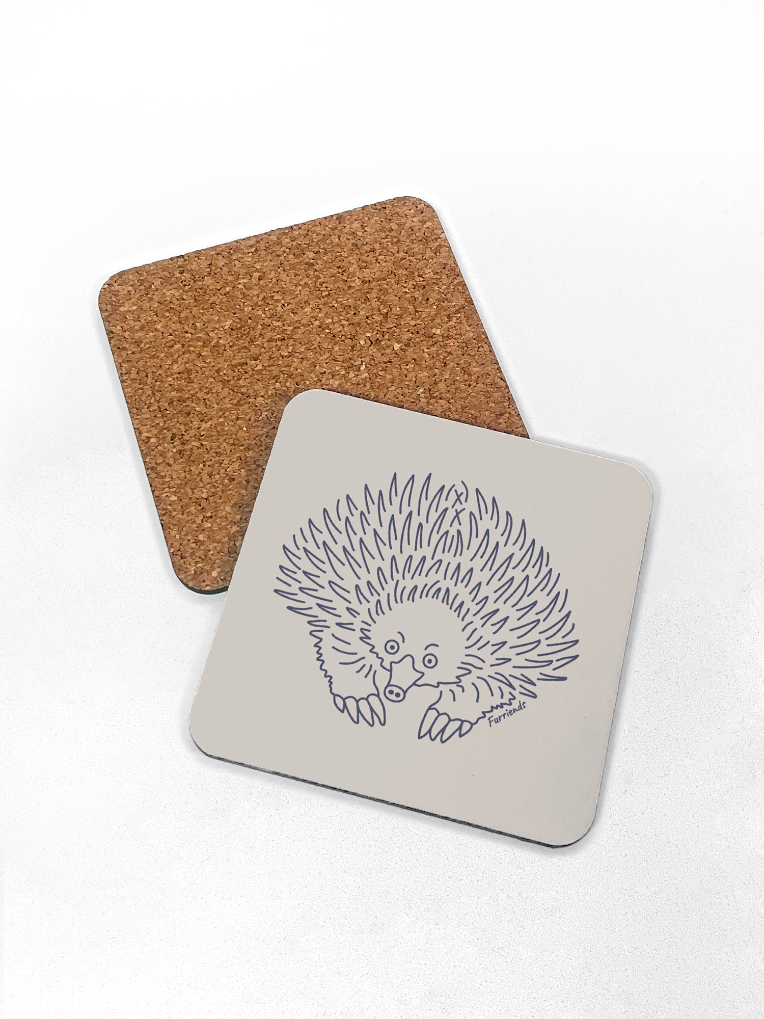 Echidna Coaster