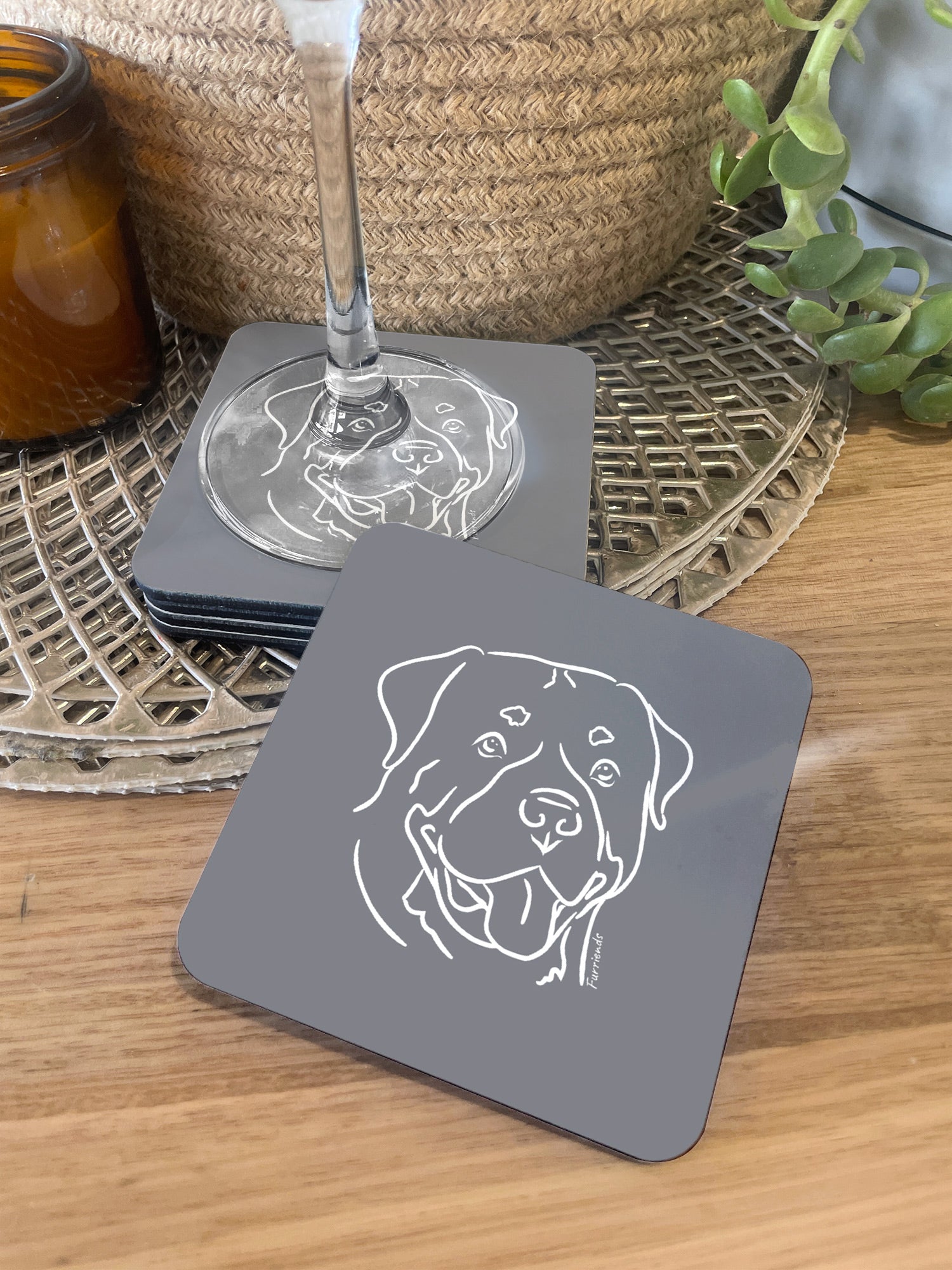 Rottweiler Coaster