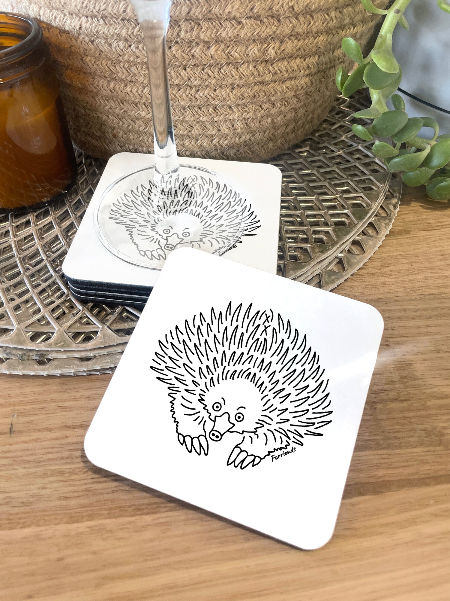 Echidna Coaster