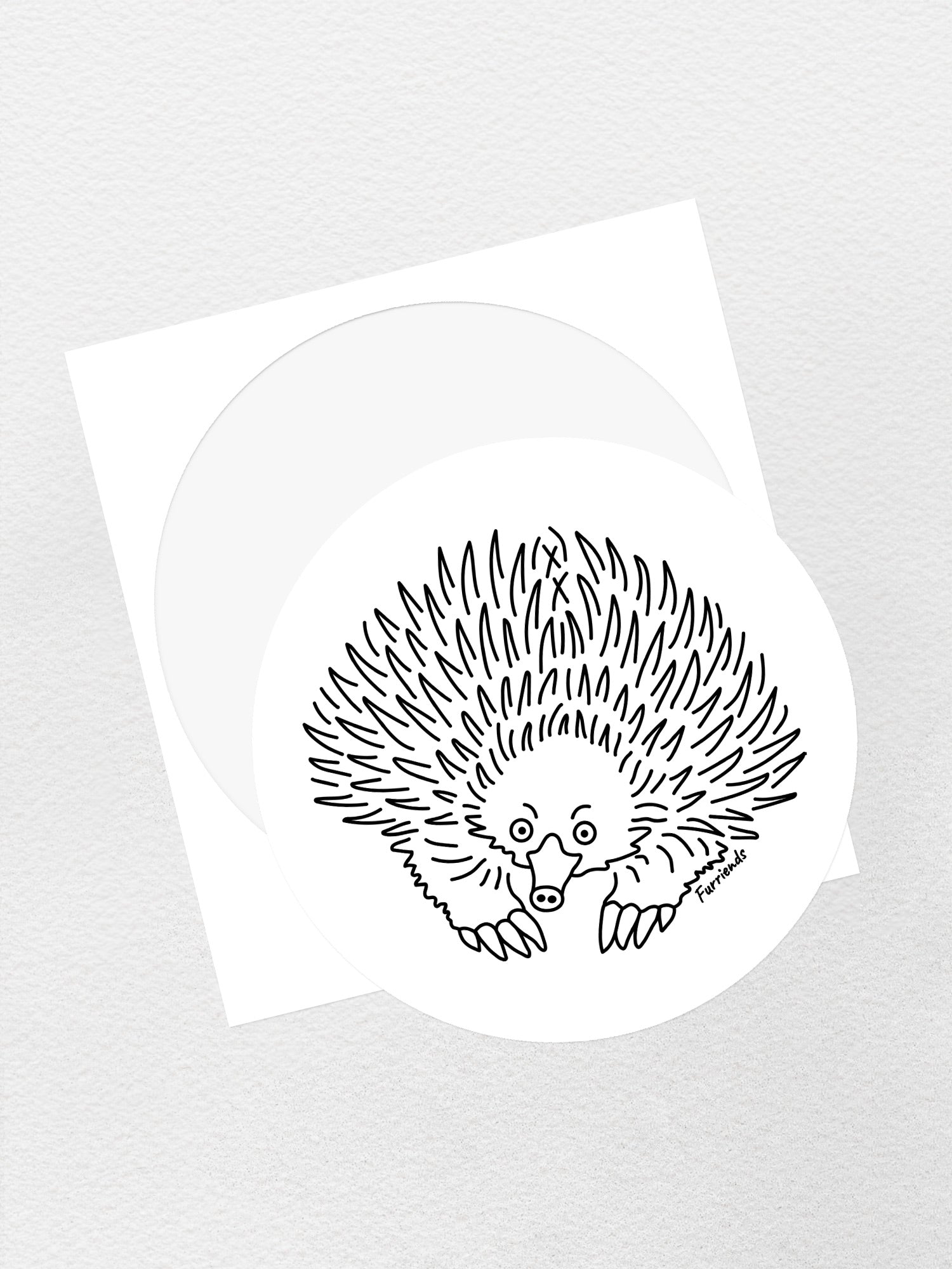 Echidna Sticker