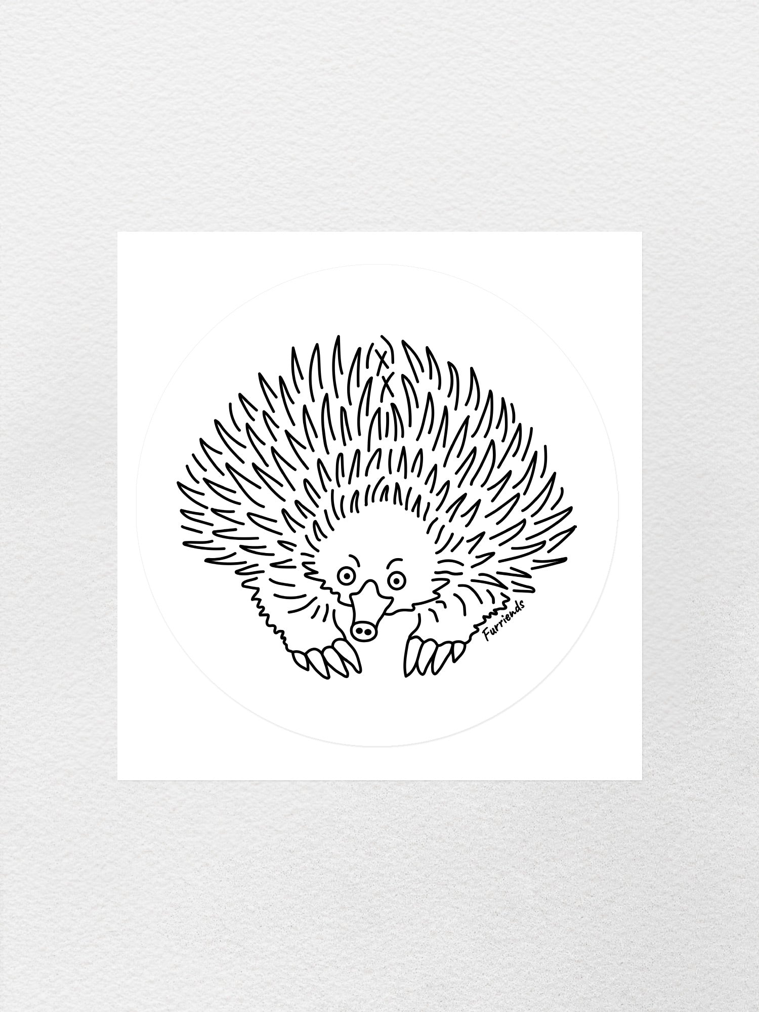 Echidna Sticker