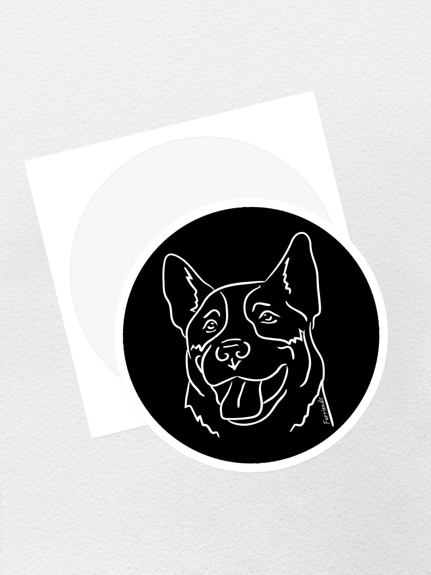 Australian Cattle Dog Sticker