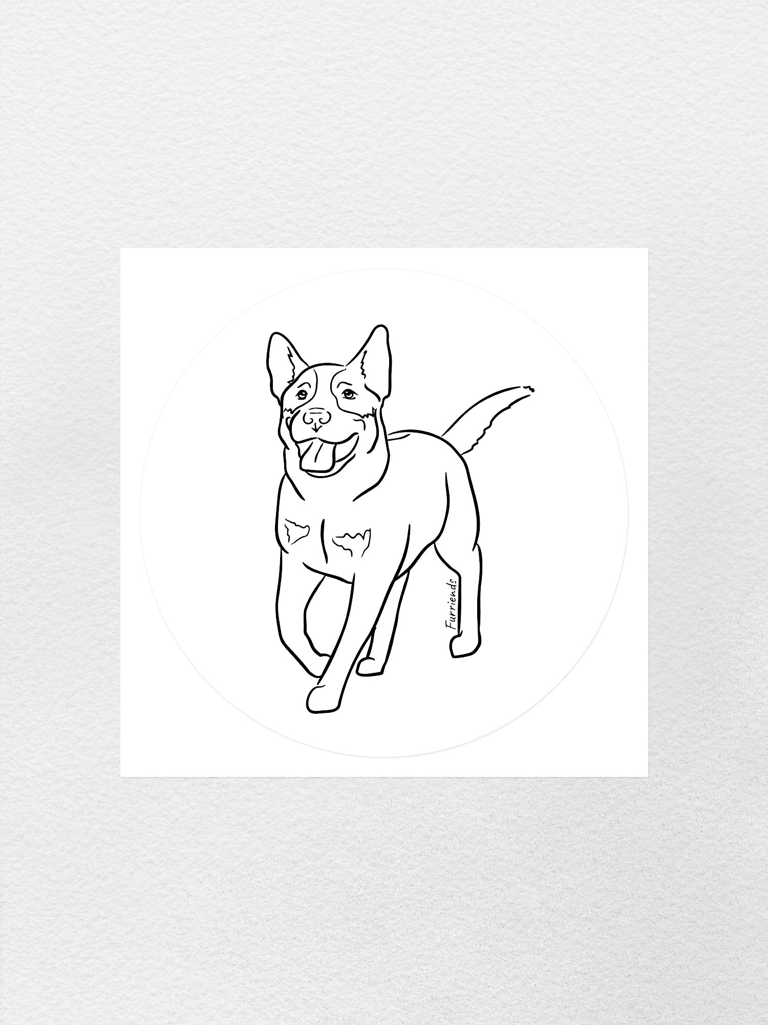 Australian Cattle Dog Sticker