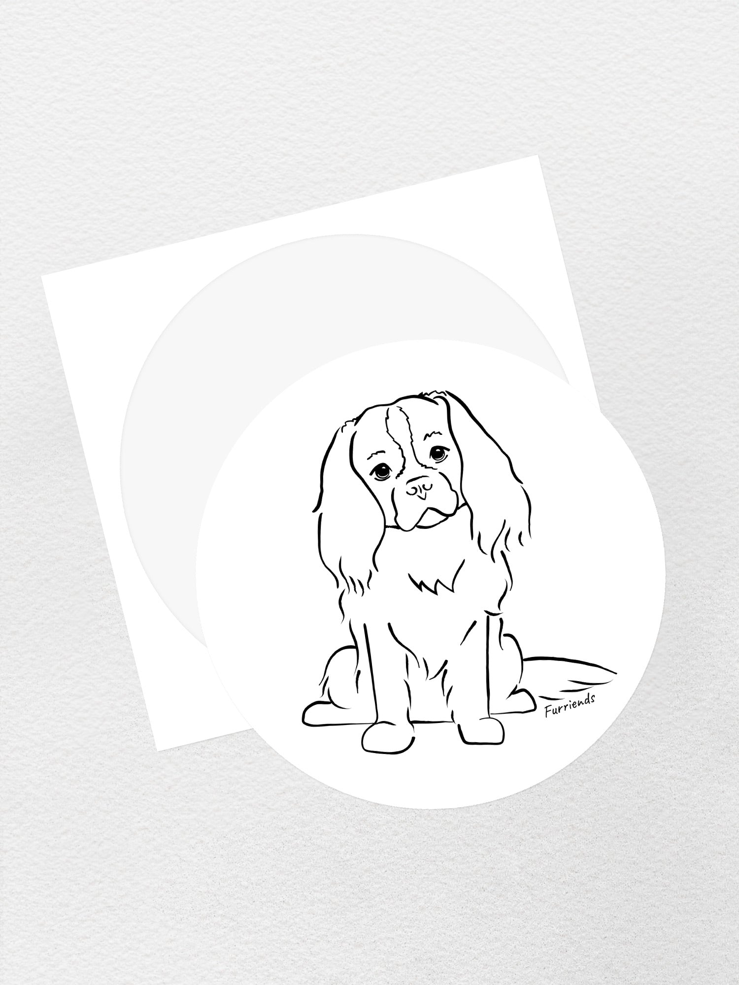 Cavalier King Charles Spaniel Sticker