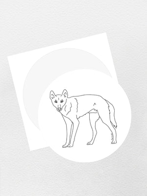 Dingo Sticker