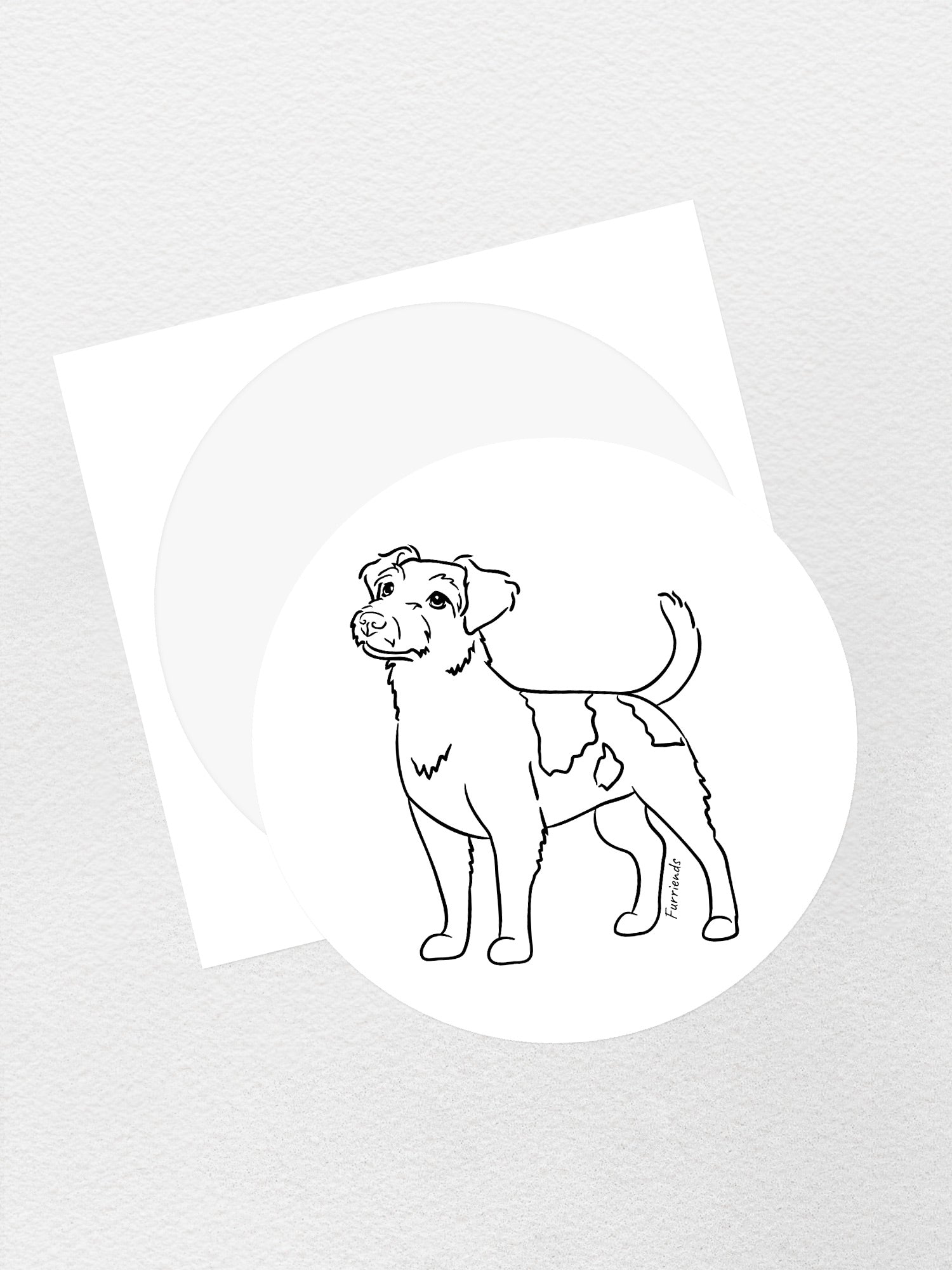 Jack Russell Terrier (Rough Coat) Sticker