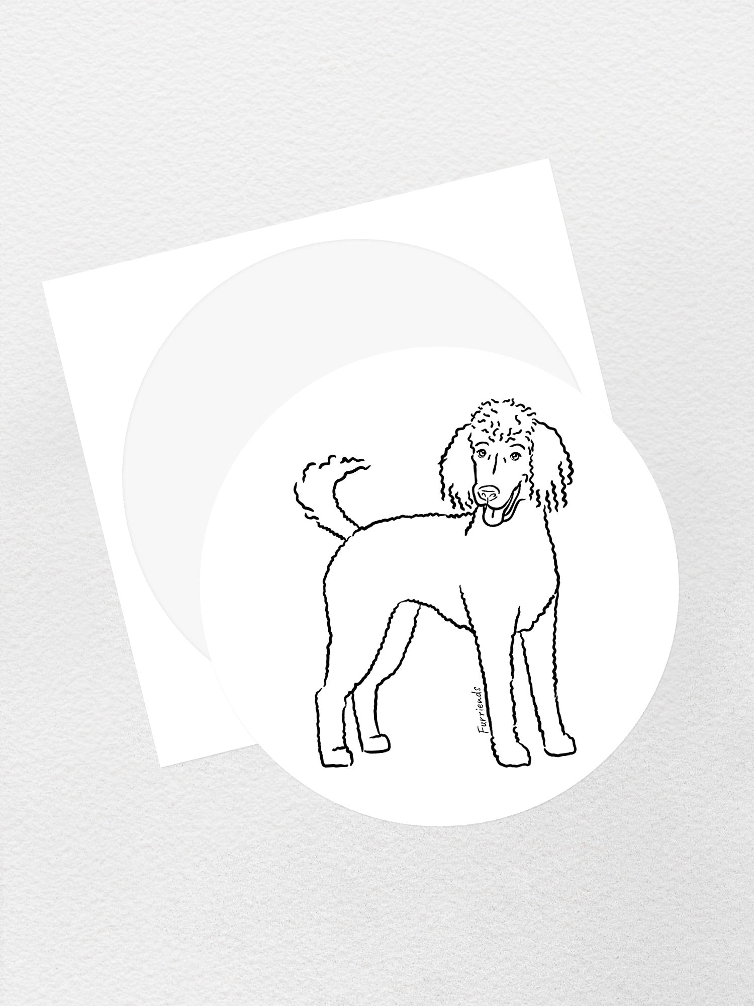 Standard Poodle Sticker