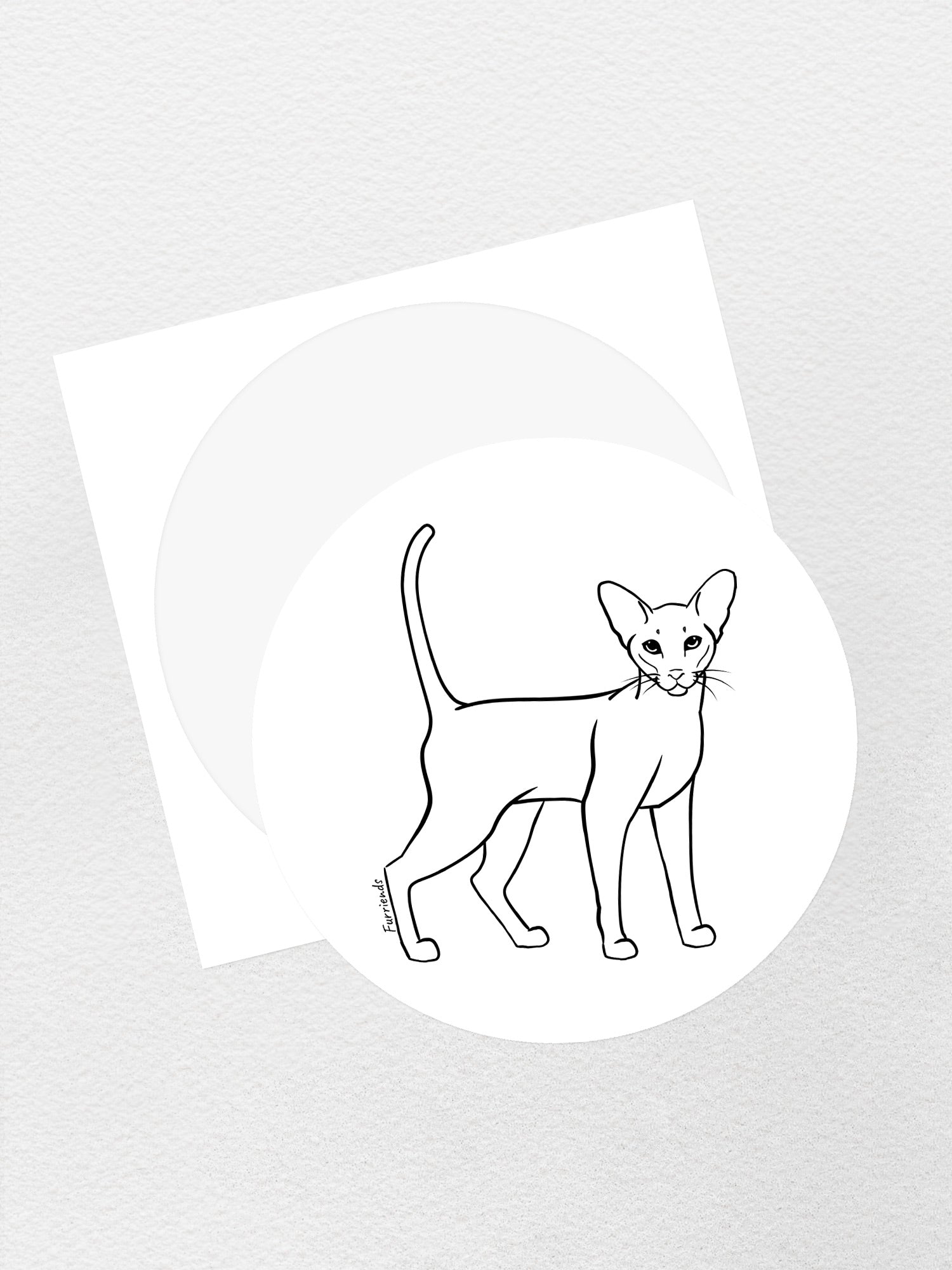 Siamese Sticker