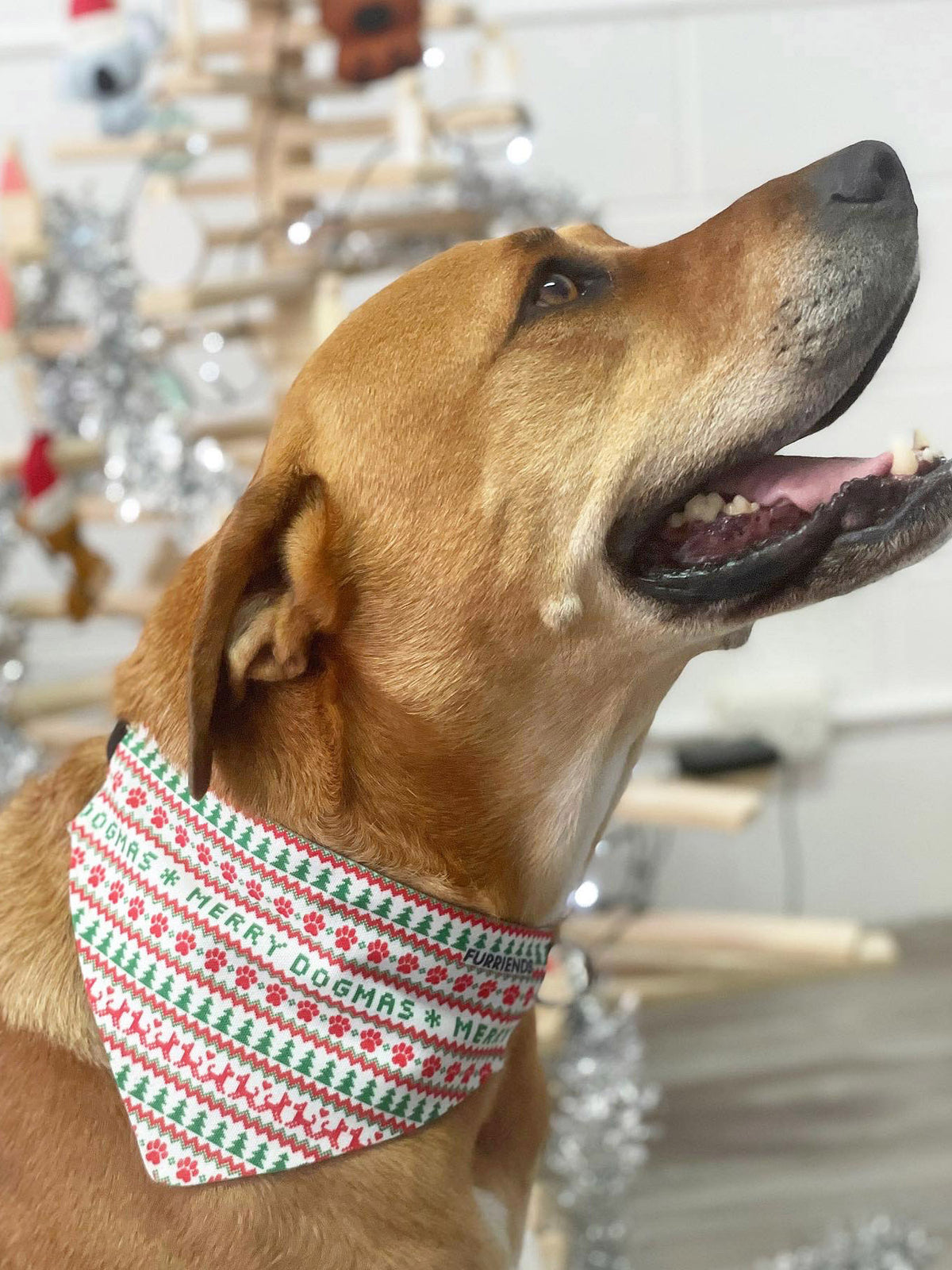 Merry Dogmas Reversible Dog Bandana With Collar