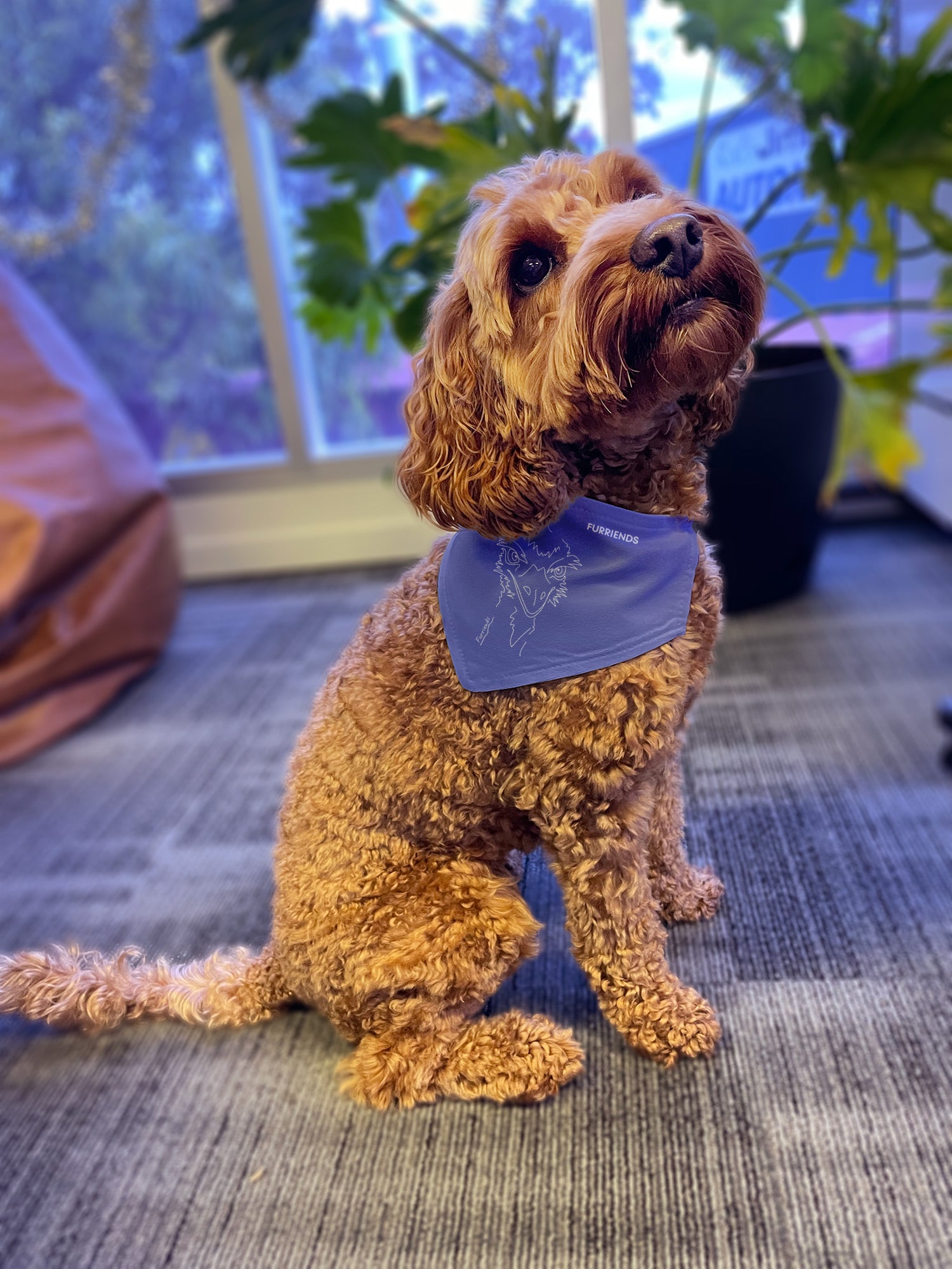 Emu Reversible Dog Bandana With Collar