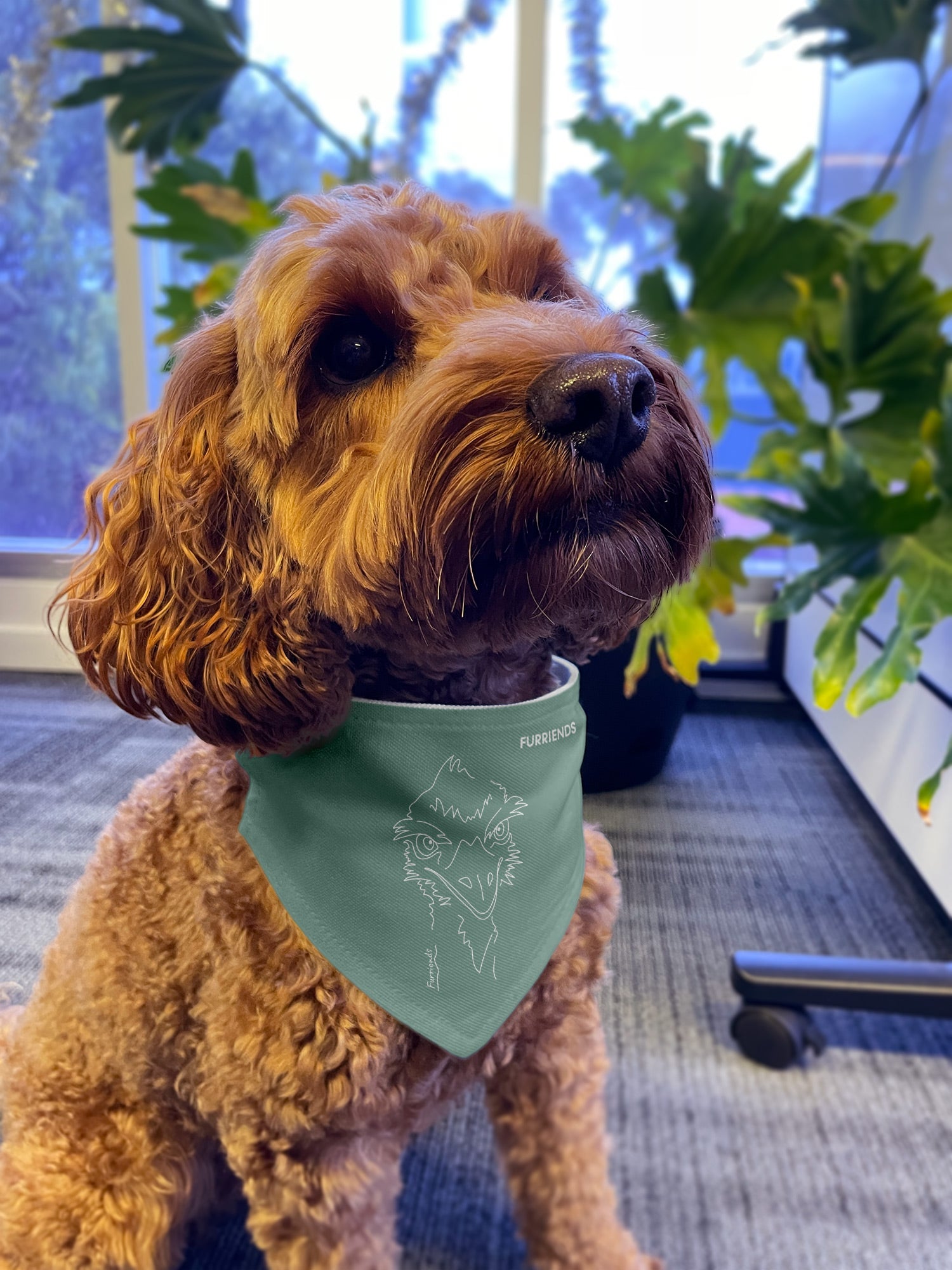 Emu Reversible Dog Bandana With Collar